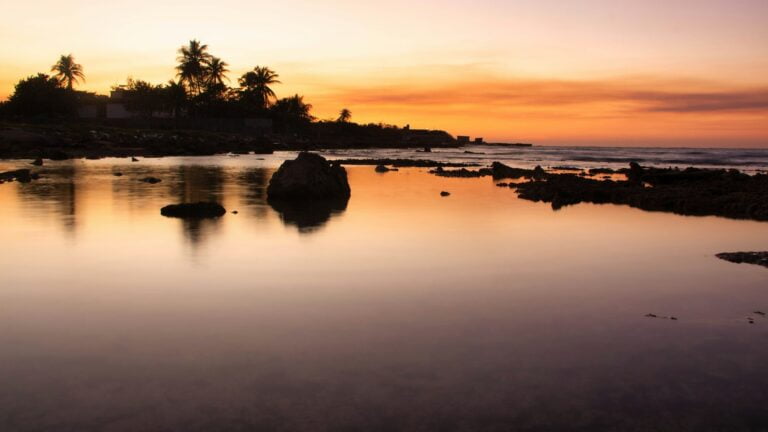 Explorando la Naturaleza a Través del Objetivo